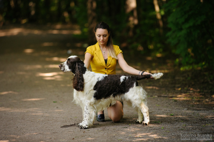 194947-9d54a-79024825-m750x740-uac895.jp