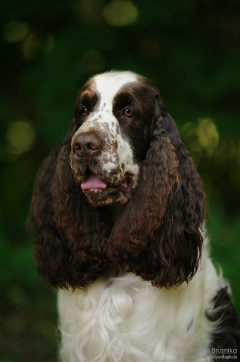 194947-b382a-79024848-m750x740-u0b506.jp